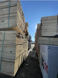 کارخانه چوب طالبیان