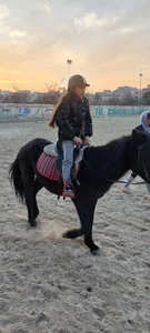 باشگاه اسب سواری رخش