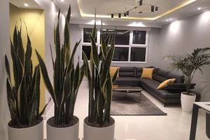 شرکت مهندسی آدان