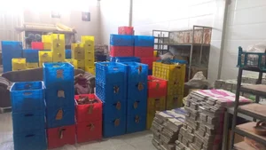 کفش و صندل عالی پا 3