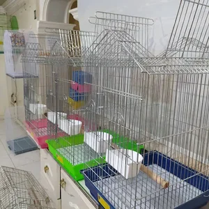 بیزیم طوطی 5