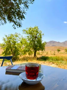 مزرعه خاتون