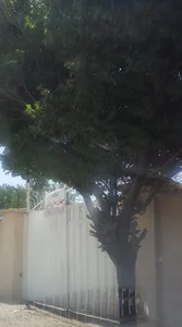 شرکت جهان دارو البرز