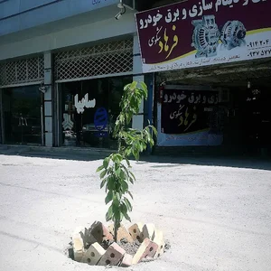 باطری و دینام سازی استاد فرهاد شکوهی