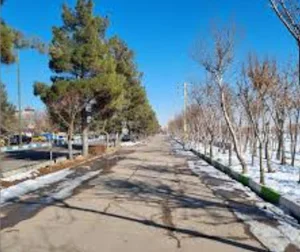 بوستان تاکستان