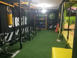 باشگاه ورزشی آرتمیس