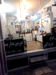 دوربین مداربسته و دزدگیر