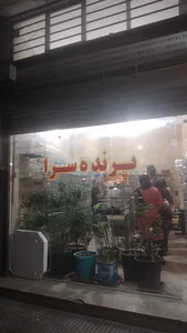 پرنده سرا