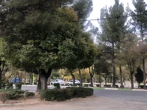 پارک خانه شهر شهرضا