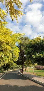 بوستان مادران