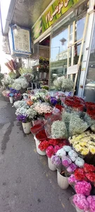 بازار گل و گیاه سرزمین یاس