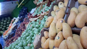 میوه سرای نارنج