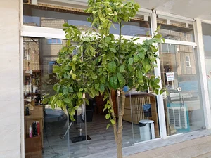 پیش دبستانی و دبستان شهید گلشنی