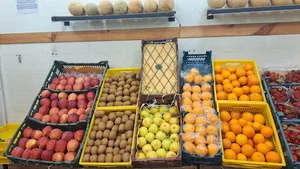میوه فروشی تی تی