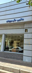 کلینیک رنو و نیسان مگردیچیان