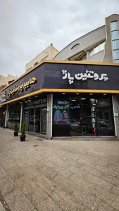 پروتئین پاژ 2