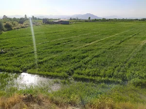 دامداری یونس ملک زاده