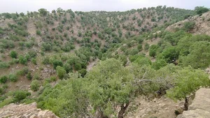 دینارکوه