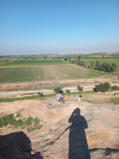 چغامیش