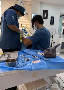مطب دندانپزشکی دکتر امیر سلطان تویه 5
