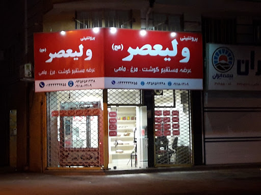 پروتئینی ولیعصر