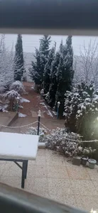 باغ باباجون