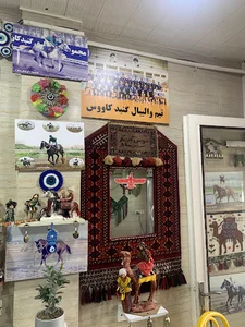 فروشگاه مواد پروتئینی ترکمن