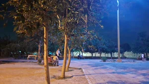 پارک سعیدیه