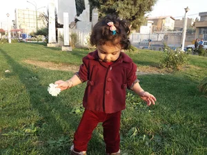 استیل البرز