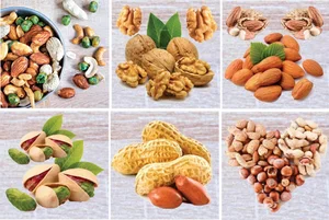 اجیل و خشکبار خاطره 2