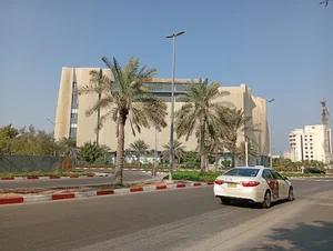 محیا مال