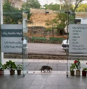 دفتر خدمات حقوقی مرشدی