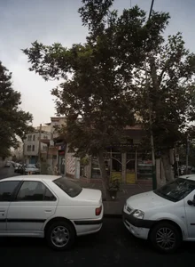 نانوایی بربری 2