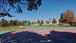 پارک بانوان