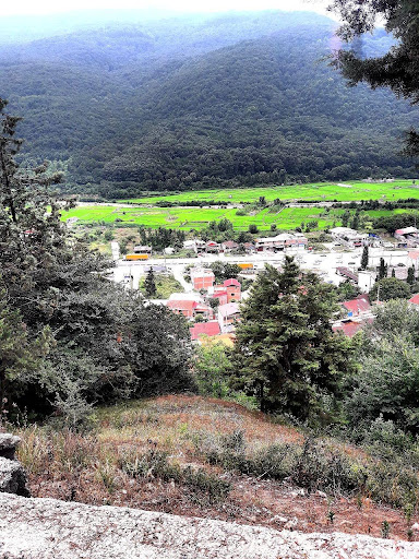ملک محسن امیری