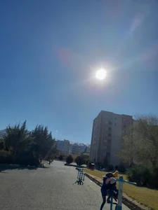 پارک نیلوفر 3