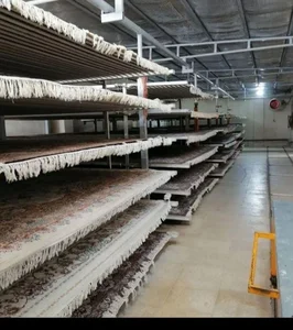 قالیشویی بختیاری 3