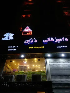 کلینیک دامپزشکی شبانه روزی درین 3