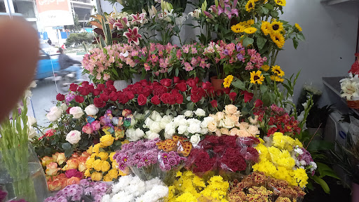 گل ارکیده