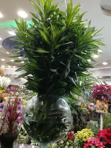 گل فروشی نگین 4