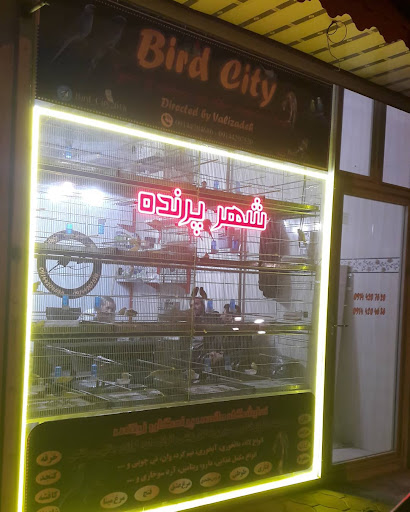شهر پرنده