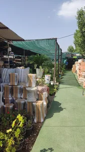 گل و گیاه.گل کده ارغوان
