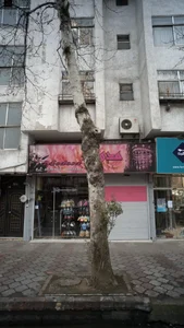 مدوسا 2