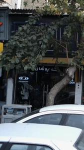تک پوشان 2