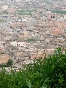 کوی عرفان