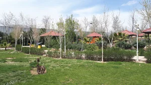 بوستان خانواده شعبه ۴