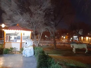 رستوران طلاییه 4
