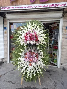 گل نرگس