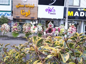 گل فروشی دانژه