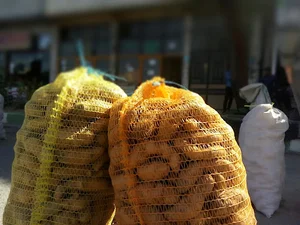 سیب زمینی فیروزکوه (خسرو عرب)